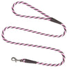 Mendota Snap Leash - Small