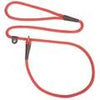 Mendota Slip Leash - Small