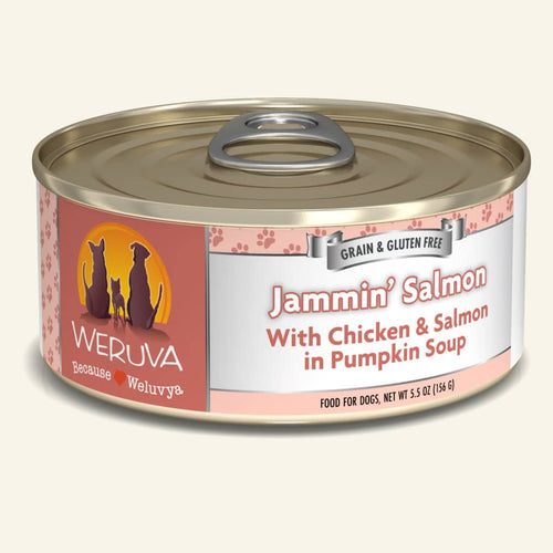 Weruva Jammin’ Salmon with Chicken & Salmon in Pumpkin Soup Dog Food