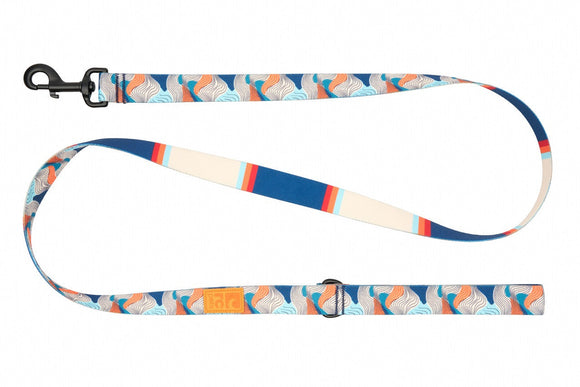RC Pet Eco Leash for Dogs