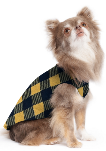 Gold Paw Stretch Fleece Dog Coat