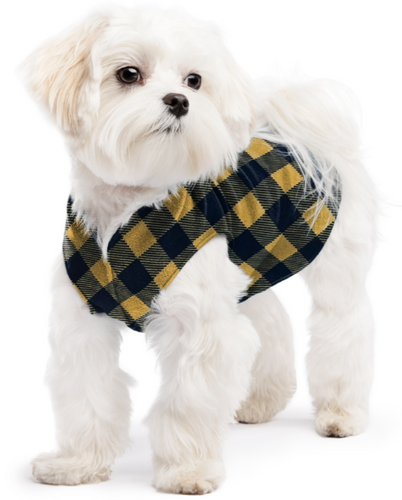 Gold Paw Stretch Fleece Dog Coat