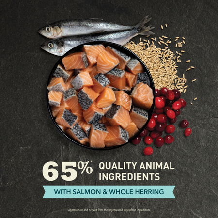 ACANA Bountiful Catch Salmon Catfish and Herring Dry Cat Food