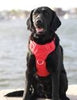 Baydog Chesapeake Dog Harness