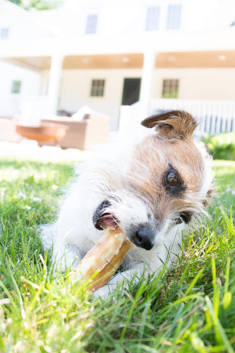 Earth Animal Pork No-Hide® Wholesome Chews