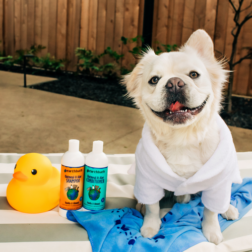 Earthbath Vanilla & Almond Oatmeal & Aloe Shampoo for Dogs and Cats