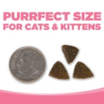 NutriSource® PureVita™ Grain Free Salmon & Peas Entrée Dry Cat Food