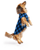 Goldpaw Stretch Fleece