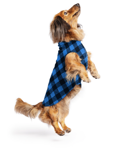 Goldpaw Stretch Fleece