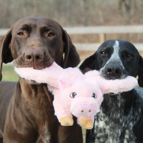 Tall Tails  Fling and Fetch Toy for Dogs