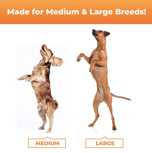 VetriScience GlycoFlex® Plus Chews for Medium and Large Dogs