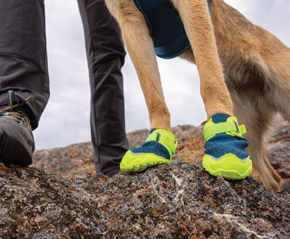 RC Pets Apex Boots