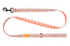 RC Pet Eco Leash for Dogs