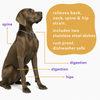 Advance Pet Products Posture Perfect Pet Feeder