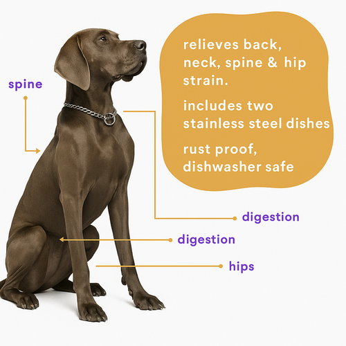 Advance Pet Products Posture Perfect Pet Feeder