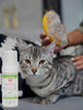 Aroma Paws Bath Free Foaming Coat Freshener- Fragrance Free Aloe