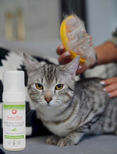 Aroma Paws Bath Free Foaming Coat Freshener- Fragrance Free Aloe