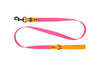 RC Pet Waterproof Leash for Dogs