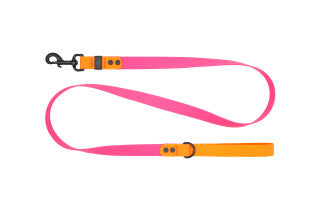 RC Pet Waterproof Leash for Dogs