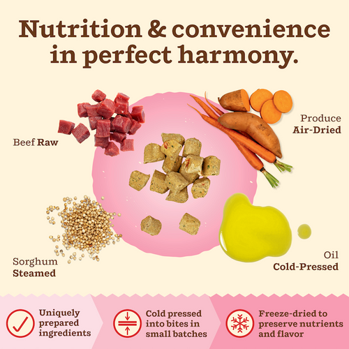 Primal Pet Foods Feline Kibble in the Raw Cat Food Beef Recipe