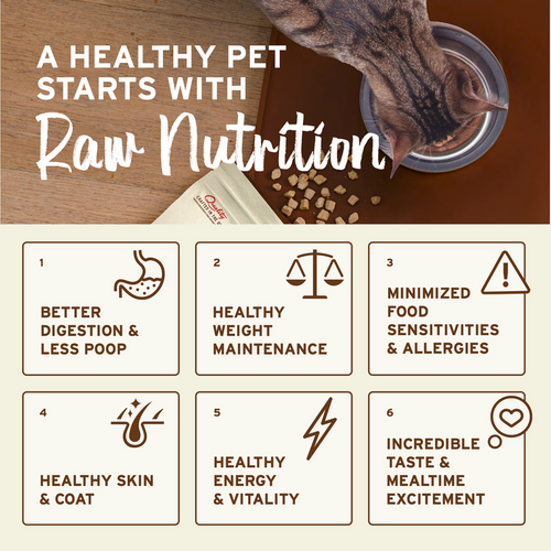 Primal Pet Foods Feline Kibble in the Raw Cat Food Beef Recipe