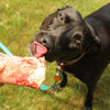 Oma's Pride Beef Marrow Bones