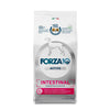 Forza10 Intestinal Dry Dog Food for Sensitive Stomachs & Digestive Support Fish Flavor