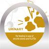 Forza10 Urinary Dry Cat Food for UTI Support Fish Flavor