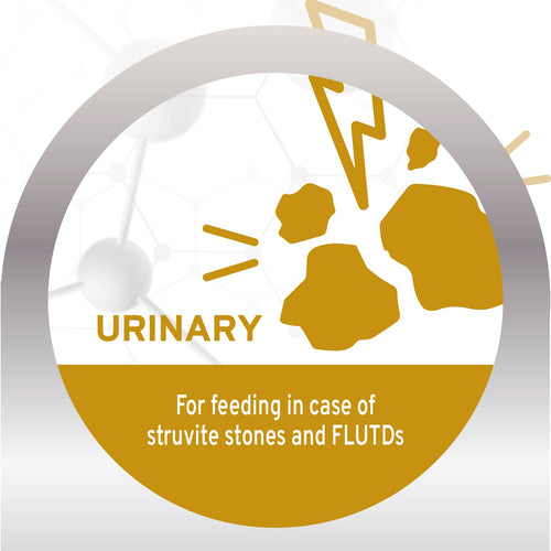 Forza10 Urinary Dry Cat Food for UTI Support Fish Flavor