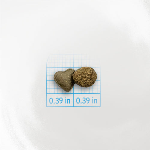 Forza10 Urinary Dry Cat Food for UTI Support Fish Flavor