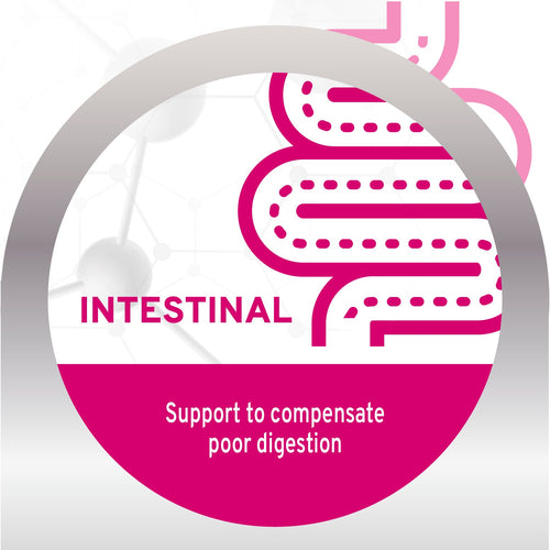 Forza10 Intestinal Dry Cat Food for Sensitive Stomachs & Digestive Support, Fish Flavor
