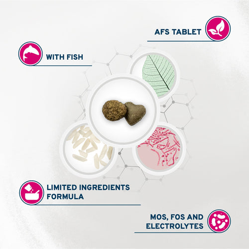 Forza10 Intestinal Dry Cat Food for Sensitive Stomachs & Digestive Support, Fish Flavor