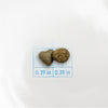 Forza10 Intestinal Dry Cat Food for Sensitive Stomachs & Digestive Support, Fish Flavor