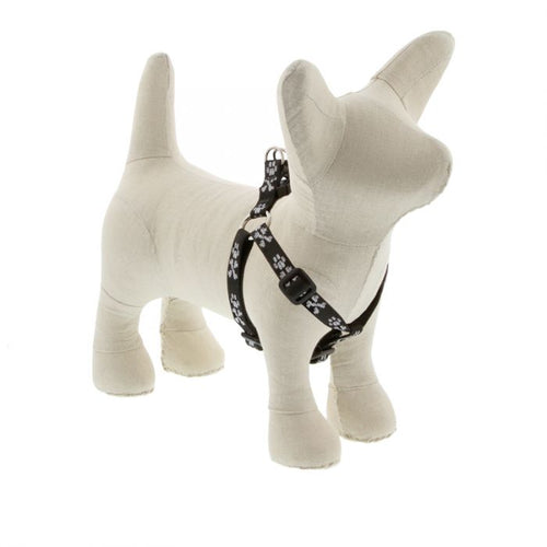 Lupine Pet Original Designs Dog Collar