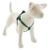 Lupine Pet Original Designs Dog Collar
