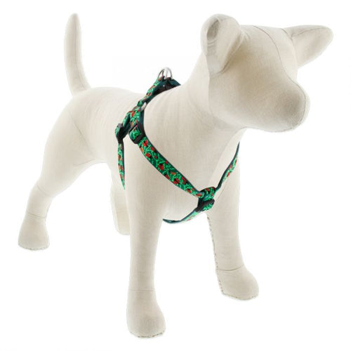 Lupine Pet Original Designs Dog Collar
