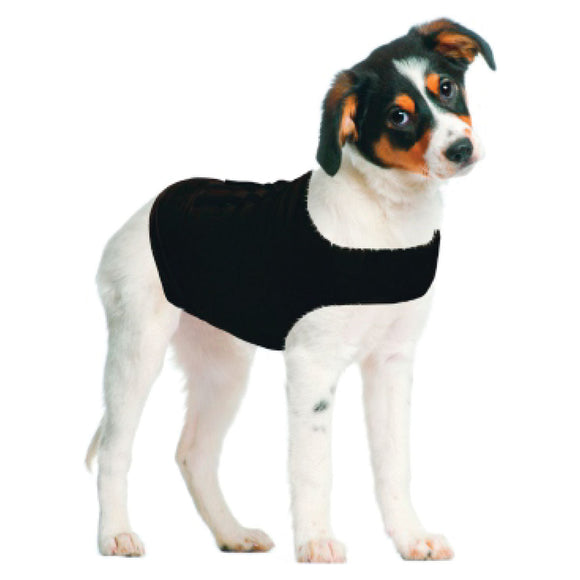 ZenPet Compression Shirt